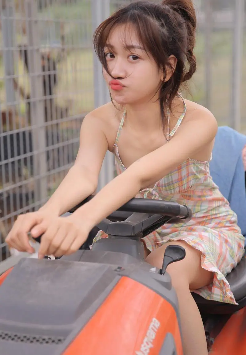 爱情岛论坛网线路一线路2,国语,在线免VIP播放,网络汉化中文